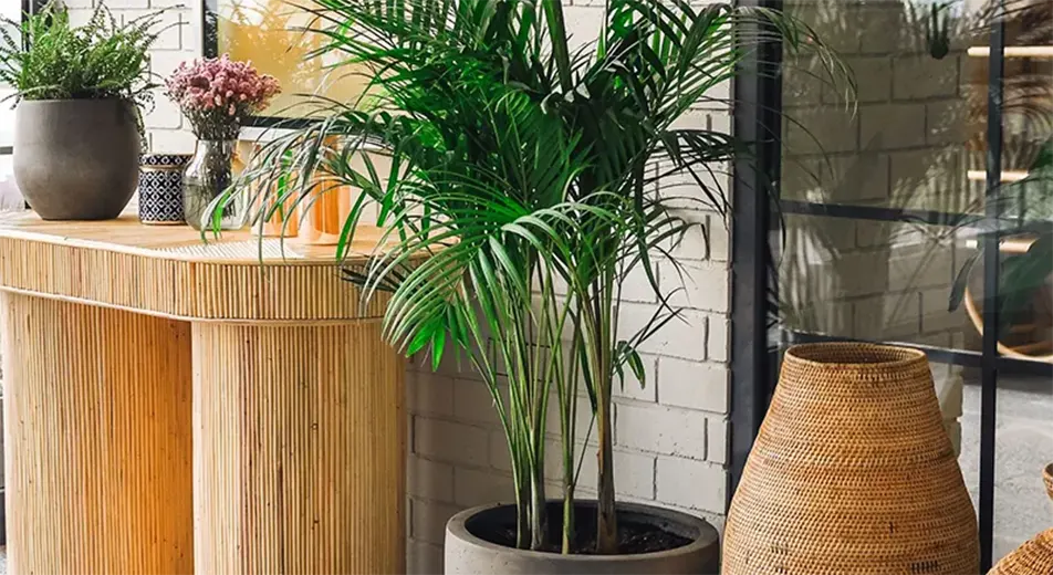 Luxury-Complex-for-Rent-and-Leasing-in-Kuwait